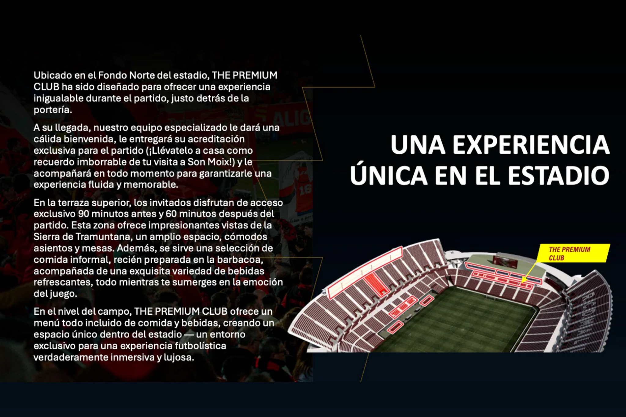 RCD Mallorca - Real Betis Balompié | 15.02.2026
